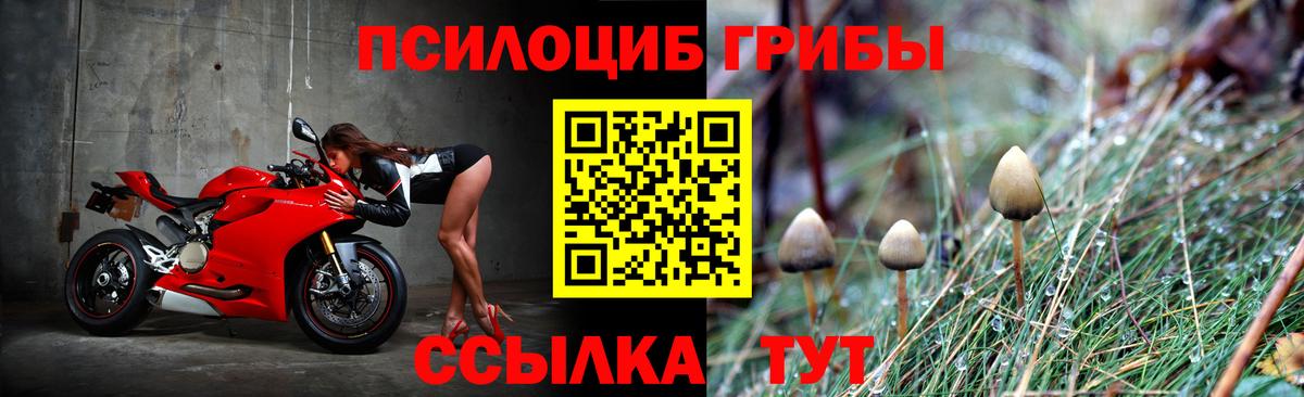 Псилоцибиновые грибы прущие грибы  Псилоцибиновые грибы Psilocybe  Кирово-Чепецк  Вход с VPN 